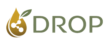 DROP Logo